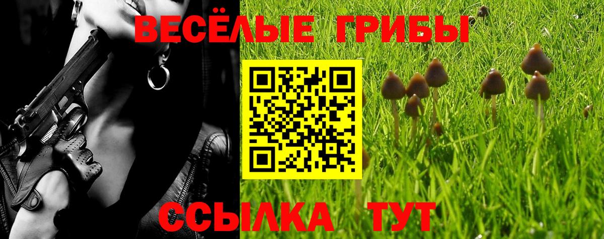 Галлюциногенные грибы мицелий  Вход с VPN  Галлюциногенные грибы MAGIC MUSHROOMS  Медногорск 